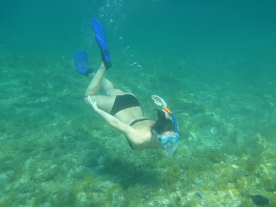 immersione, lo snorkeling, natura, acqua, mare, spiaggia, vacanze, diversi, mondo sott'acqua, sole, subacqueo