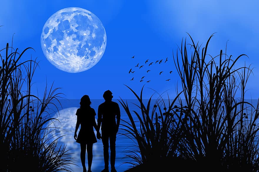 par, silhouette, måne, innsjø, fugler, refleksjon, kjærlighet, natt, himmel, skumring