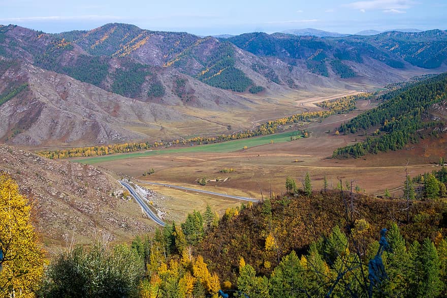 Altai-Gebirge, Tal, Landschaft, Natur, Herbst, Bäume, Steppe, Berg, ländliche Szene, Gelb, Wald