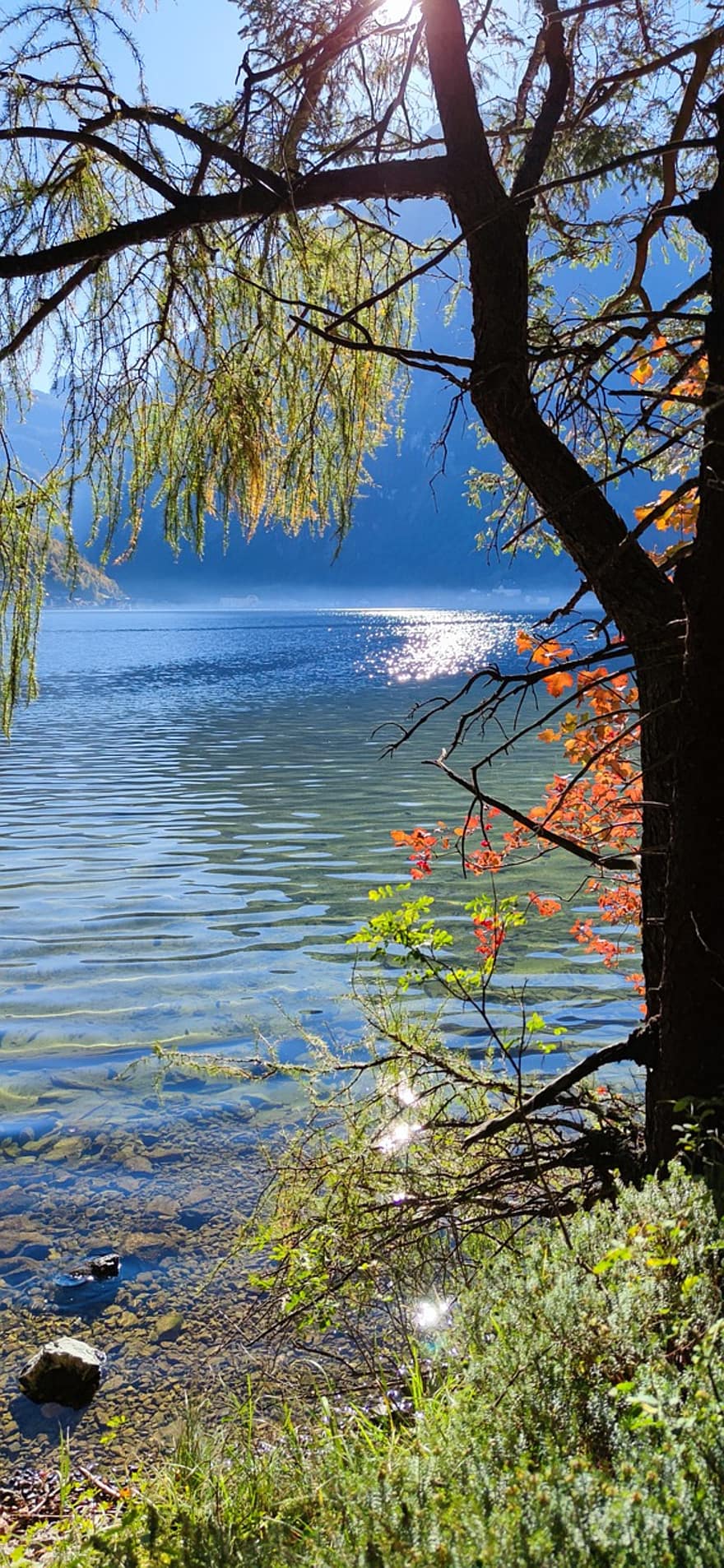jezero, Příroda, podzim, les, strom, listy, voda, mlha, krajina, modrý, list