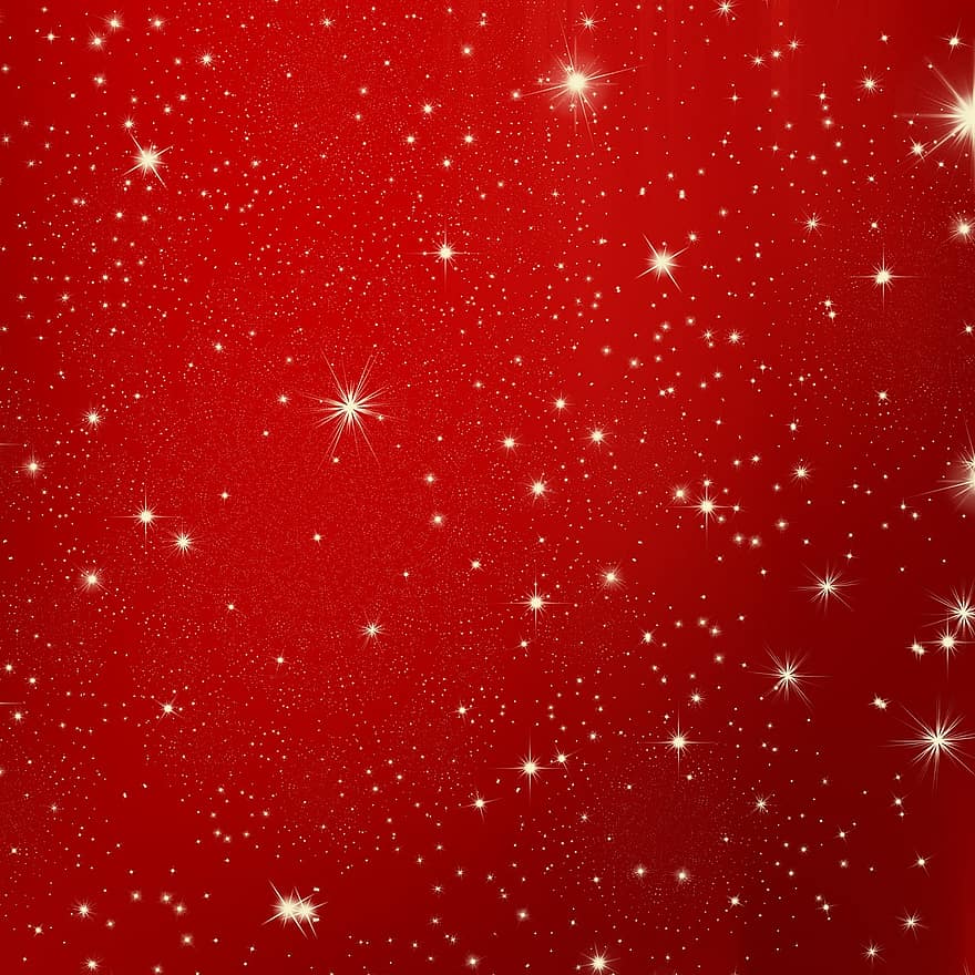 Star, Christmas, Red, White, Snow, Advent, Tree, Tree Decorations, Decoration, Christmas Eve, Atmosphere