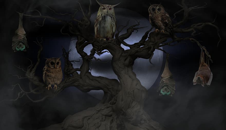 HDの壁紙、ファンタジー、フクロウ、コウモリ、木、月、満月、古い木、シルエット、鳥、動物たち