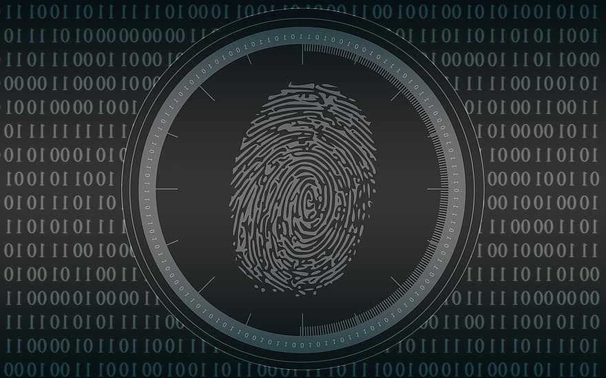 biometri, fingeravtrykk, sikkerhet, beskyttelse, identitet, teknologi, sikkerhetssystem, binær kode, data, passord, internett