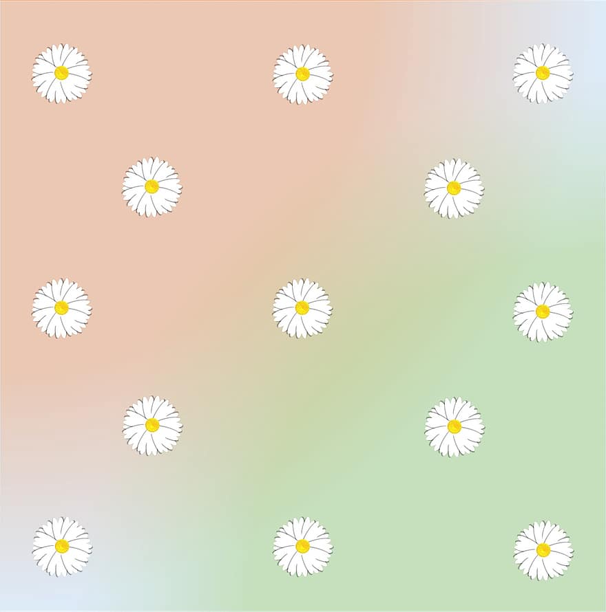 Daisy, Design, Pattern, Floral, Flora, Spring, Pastel, Gradient, Background, Graphic, Scrapbook