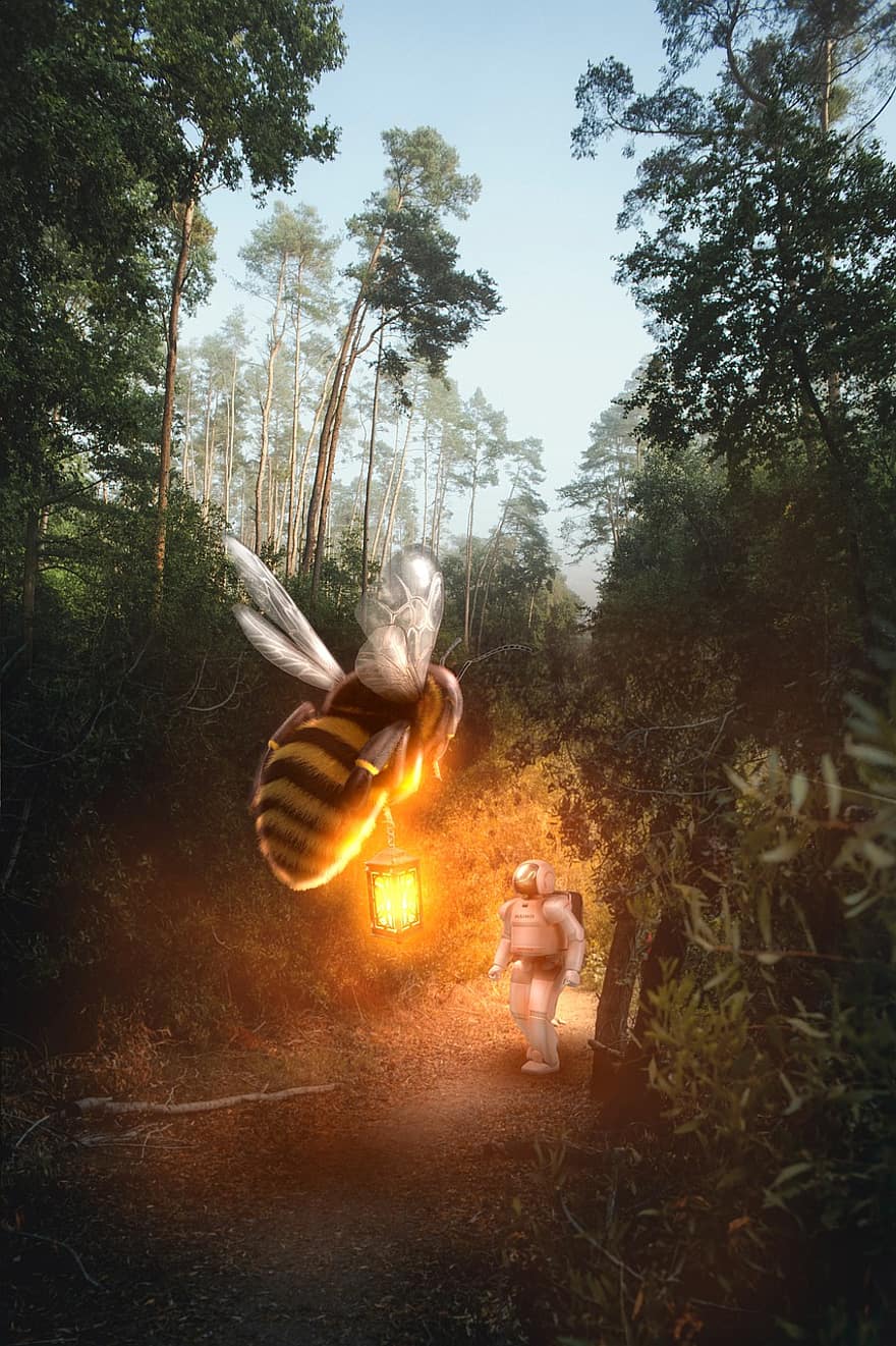 albină, fantezie, arta digitala, lampă, robot, pădure, natură
