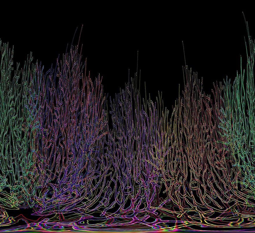 Coral, Color, Colorful, Obscure, Fantasy, Pc Graphics, Grasses, Veins