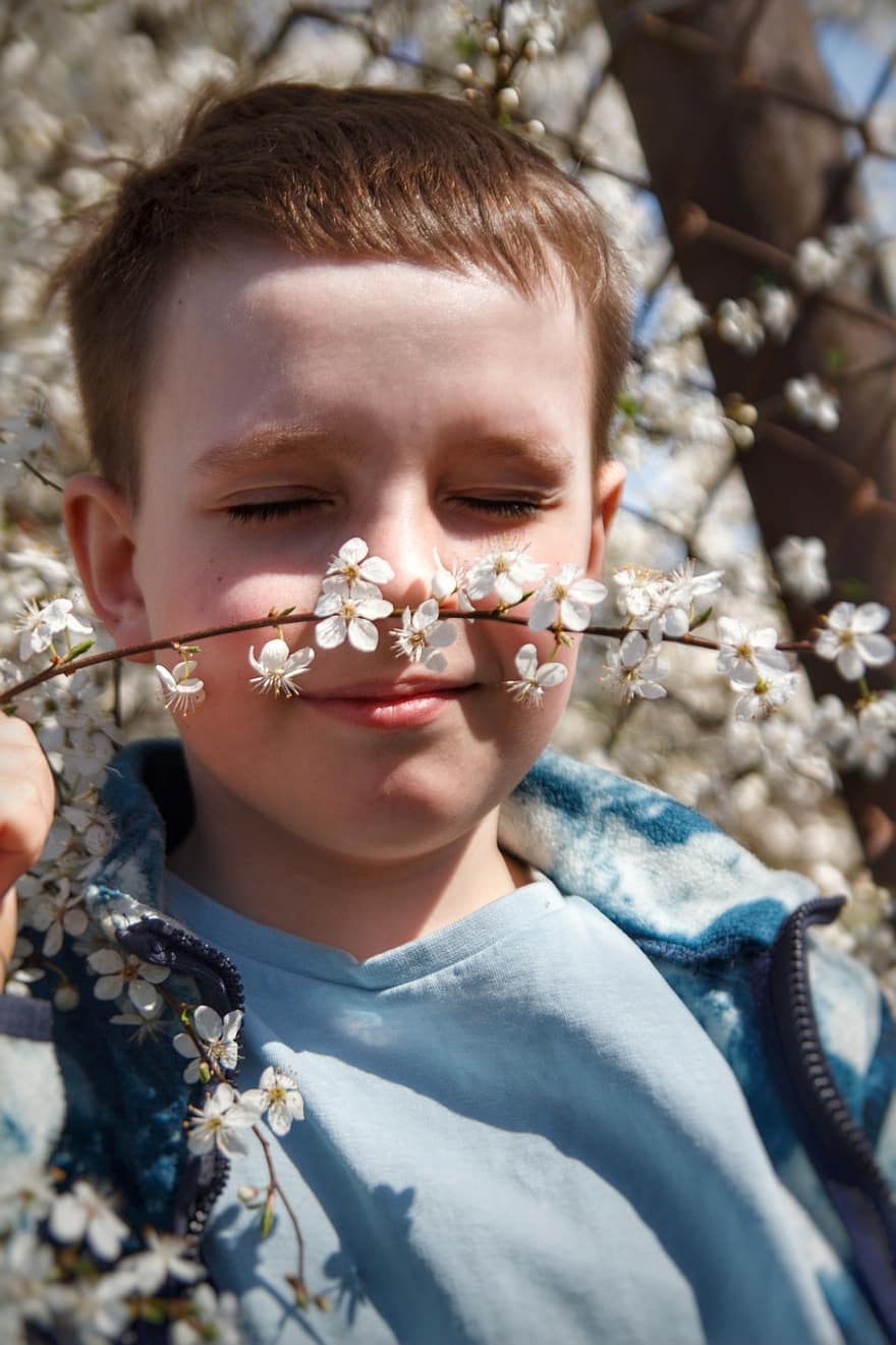 witte bloemen, kleine jongen, kind, Kaukasisch, de lente, bloeiende boom, bloesems, natuur, jongens, kinderjaren, bloem