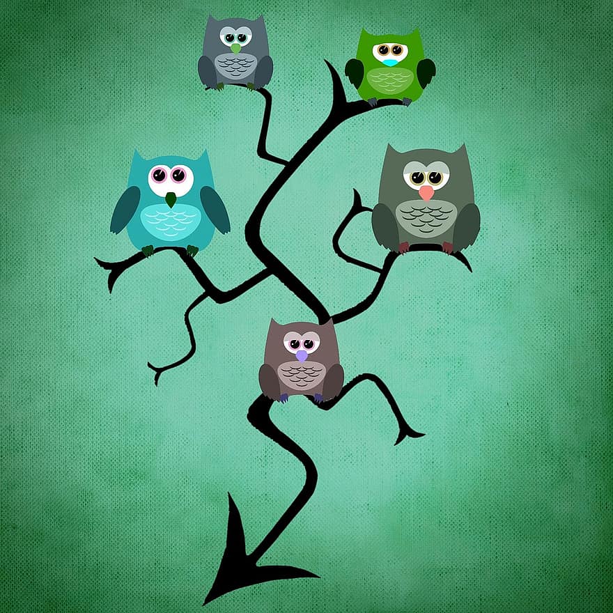 Owl, Tree, Funny, Background