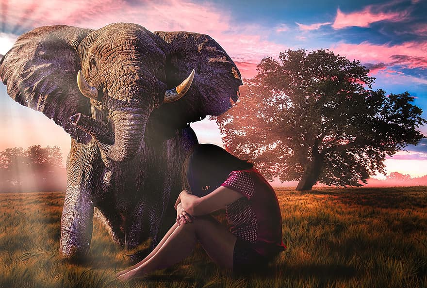 Woman, Africa, Elephant, Animal, Landscape, Nature