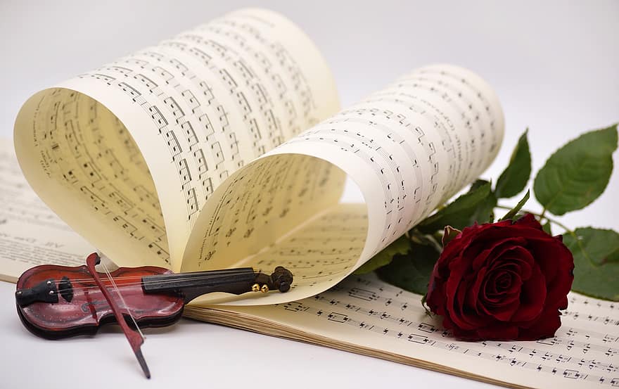 musik, violin, nodeblad, sange, rød rose, koncert, lave musik, musikinstrument, instrument, kærlighed til musik, kærlighedssang