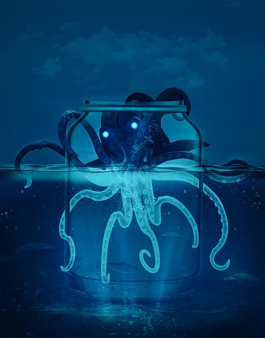 astoņkāji, gaisma, pudele, ūdens, jūra, debesis, mākoņi, zils, zem ūdens, zivis, tausteklis