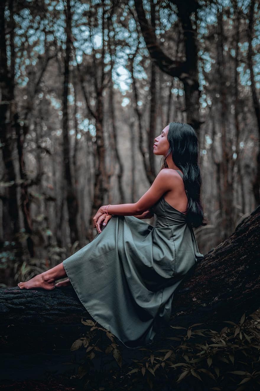 Woman, Fashion, Forest, Dress, Girl, Female, Model, Pose, Alone, Trees, Nature
