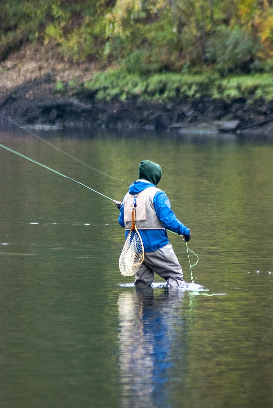 Fly Fishing, Angler, Fishing, Fisherman, Angling, Recreation, River, Rod, Fly, Water, Outdoor