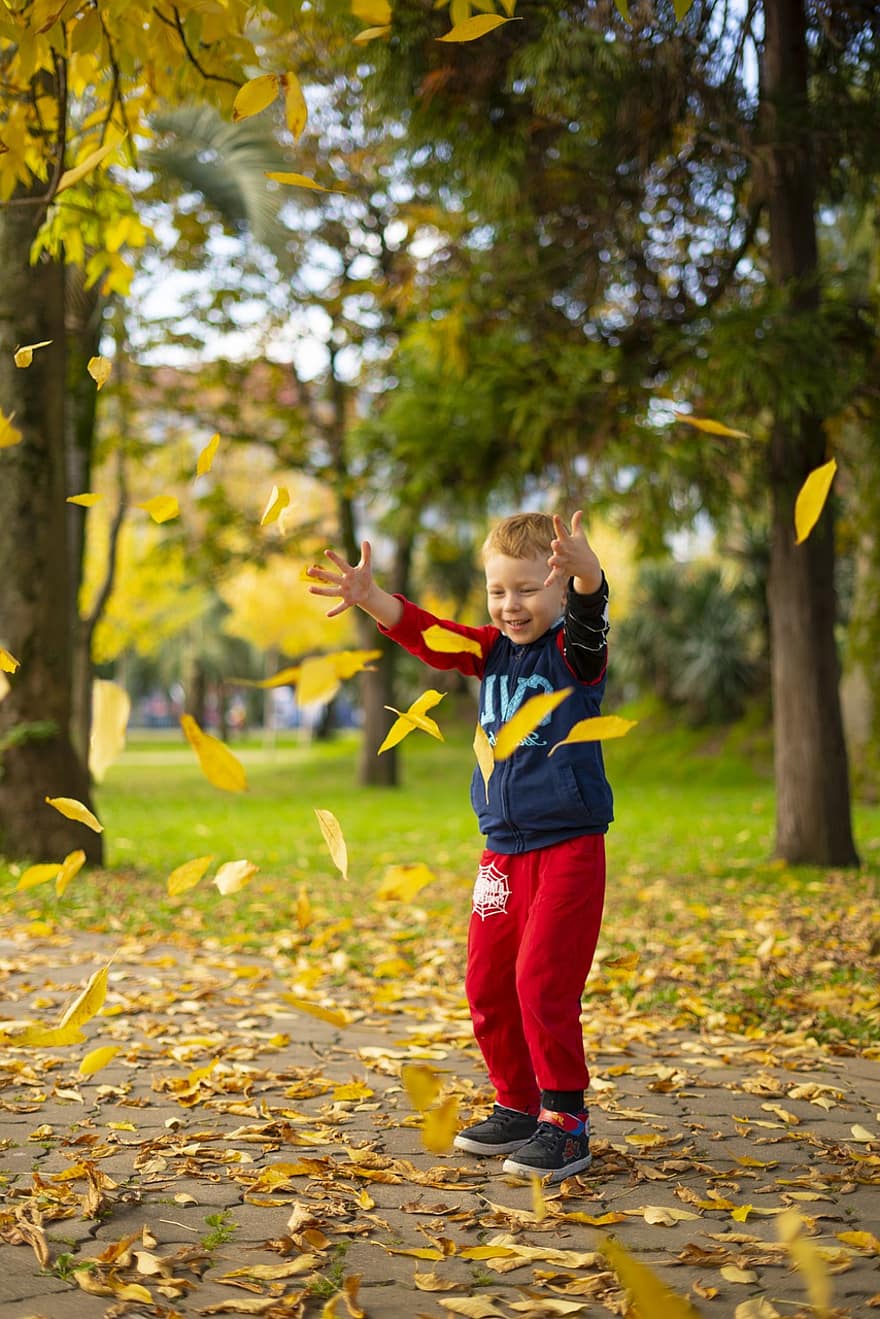 мальчик, листья, падать, осень, играть, ребенок, дитя, счастливый, милый, на открытом воздухе, парк
