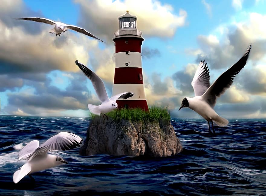 маяк, чайка, птах, води, море, блакитний, небо, вхід до гавані, будівлі, морський, настрій