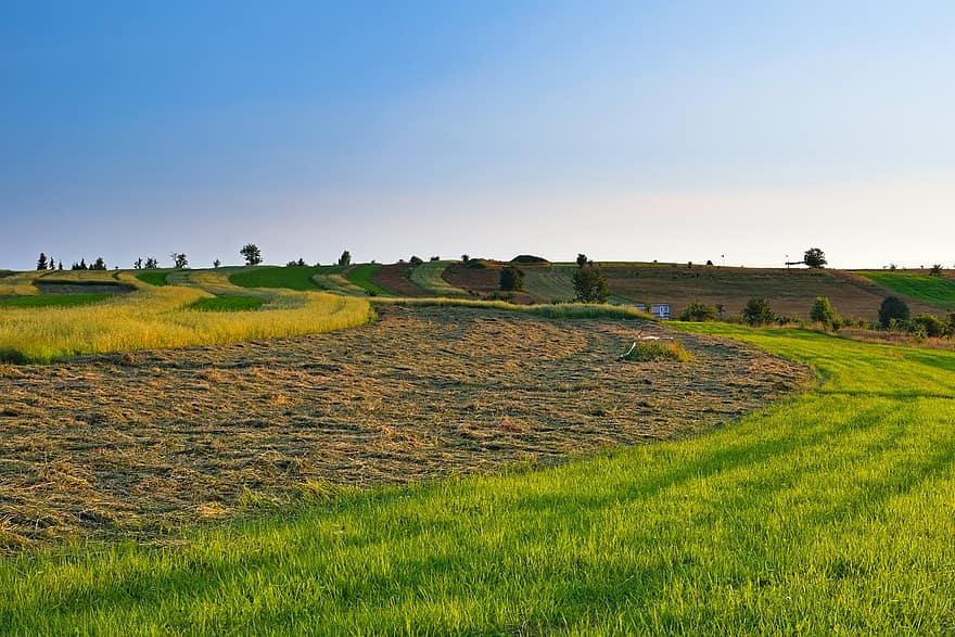 Landscape, Grass, Hay, Village, Haymaking, The Path, Way, Field, The Ground, Sky, Blue