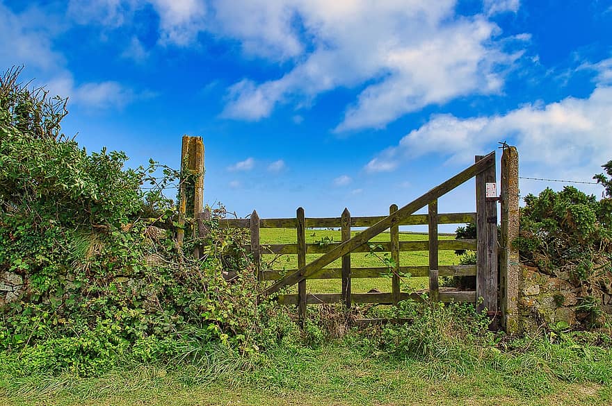 staket, fäktning, fält, lantlig, betesmarker, gammal, Cotentin