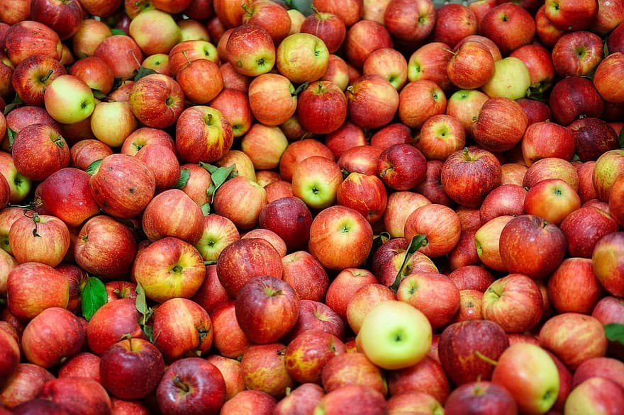 manzanas, cosecha, frutas, Produce, orgánico, Fresco, manzanas frescas, frutas frescas, manzanas rojas, maduro