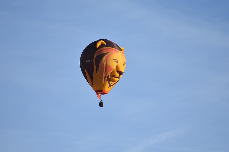 熱気球、ライオン熱気球、空