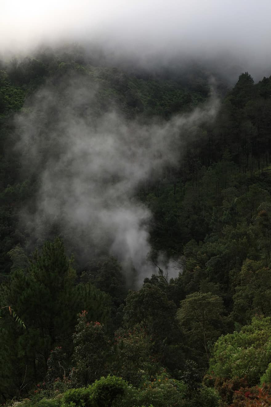 森林、山、アンガラン山、自然、木、霧、朝、風景、環境、雲、空