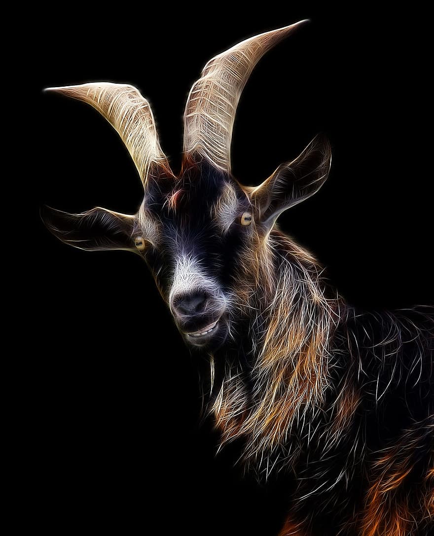 Goat, Fractalius, Profile Picture, Animal World, Animal Portrait, Animal, Photo Art, Heraldic Animal, Fur, Horns