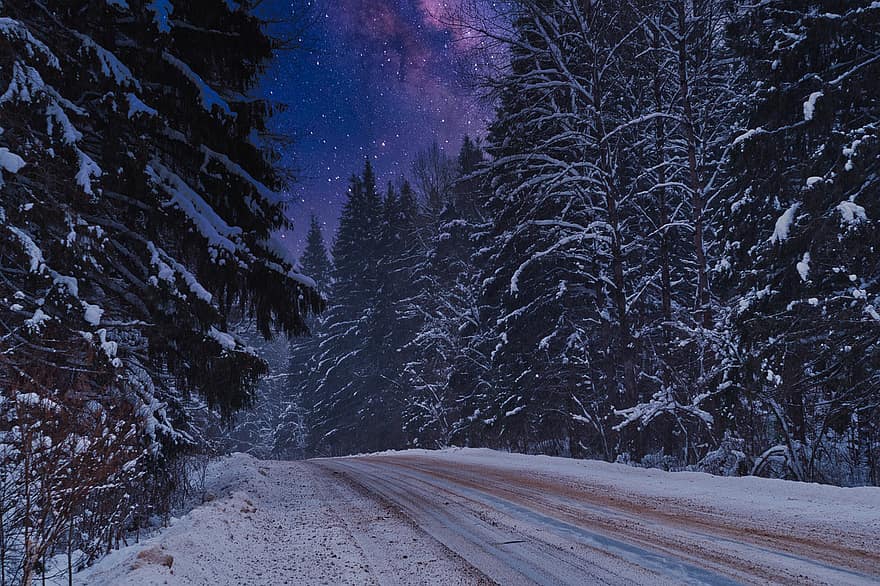 hivern, bosc, nit, carretera, estrelles, gelades, bosc d’hivern, paisatge