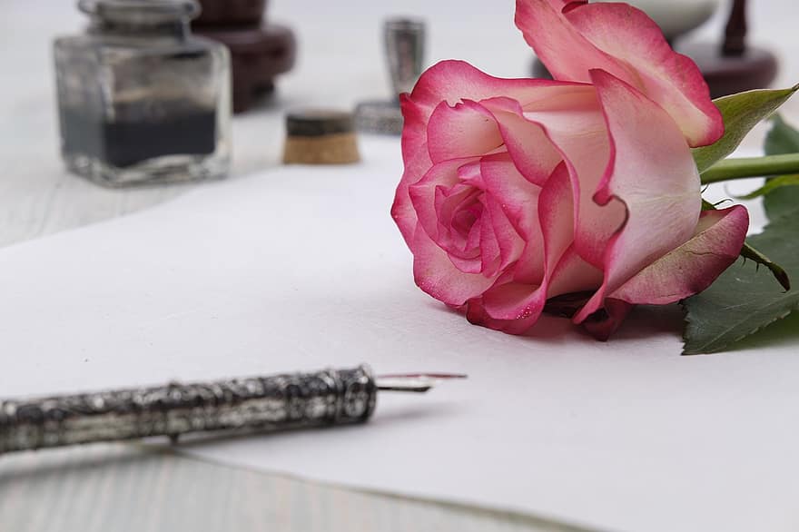 rosa, flor, carta, paper, florir, romàntic, amor, dia de la mare, aniversari, dia de Sant Valentí, escriure