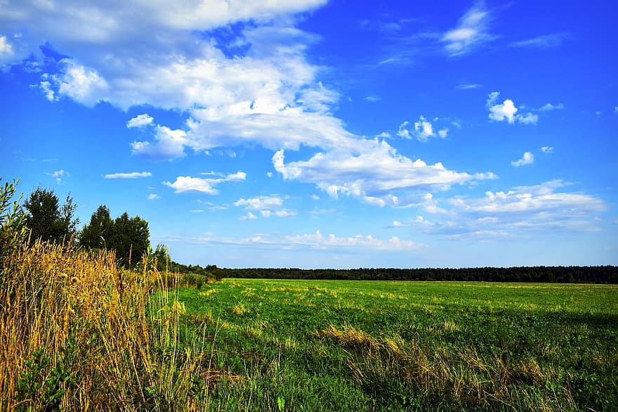 Field, Countryside, Meadow, Nature, Landscape, Sky, Clouds, Grass, Horizon, Sunny