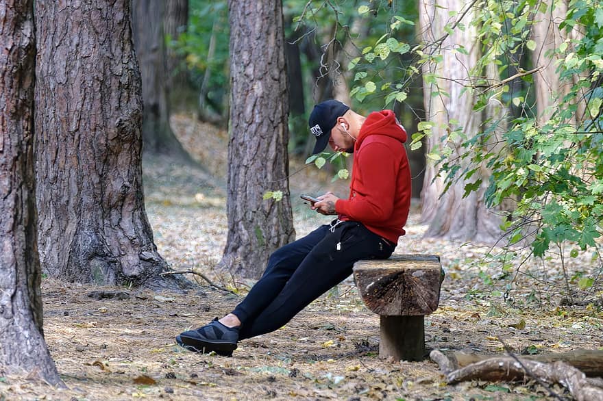 dreng, ung, bænk, smartphone, øretelefoner, person, slapper af, omsorg, Skov, træer, herrer