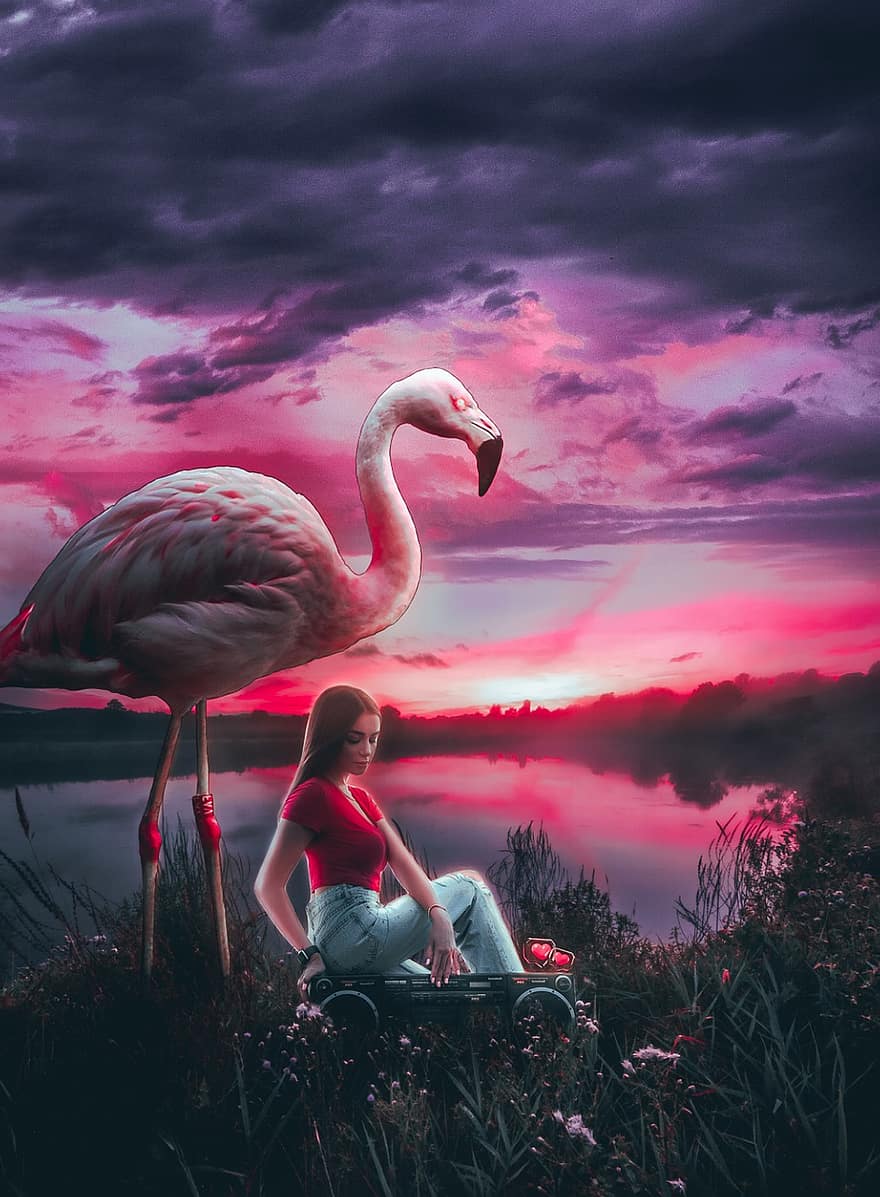 flamingo, himmel, moln, photoshop, magi, skivspelare, fält, sjö, solnedgång, gryning, rosa