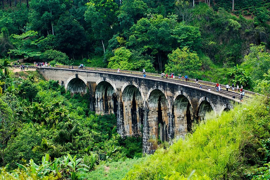 ponte, Nine Arch, ella, turismo, nove, Ceilão, selva, verde, trem, cascata, selvagem