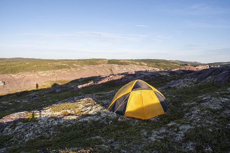 cort, tabără, camping, loc de camping, echipament, apus de soare, Newfoundland, Trinity Bay, tundră, pustie, natură