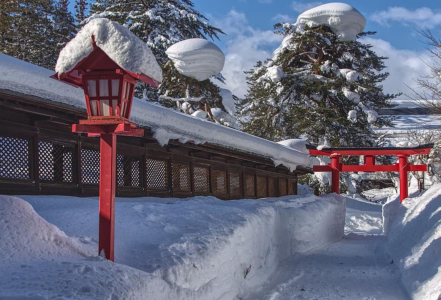 Torii, Shrine, Winter, Japan, Snow, season, ice, mountain, frost, tree, forest