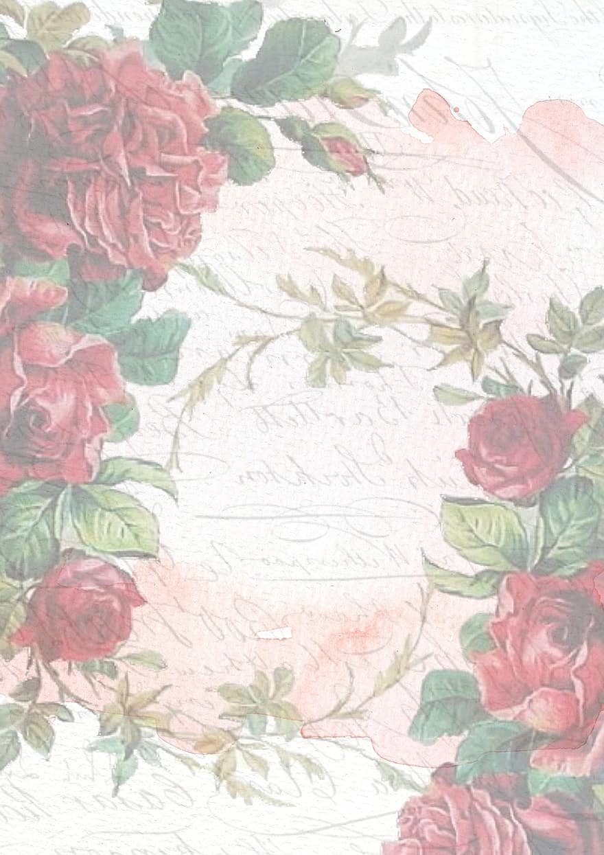 Вінтаж, троянда, рожевий, фон, квітка, шаблон, записках, смужка, орнамент, день народження, візерунок