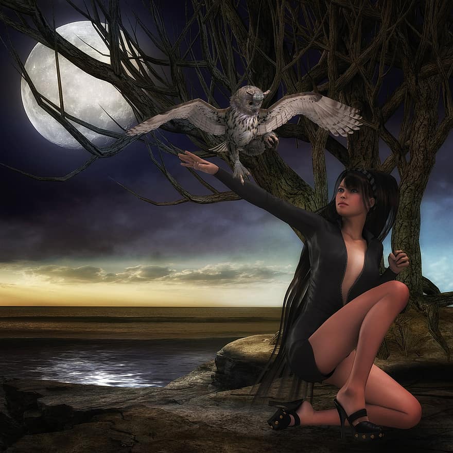 Night, Woman, Bird, Owl, Landscape, Fantasy, Composing