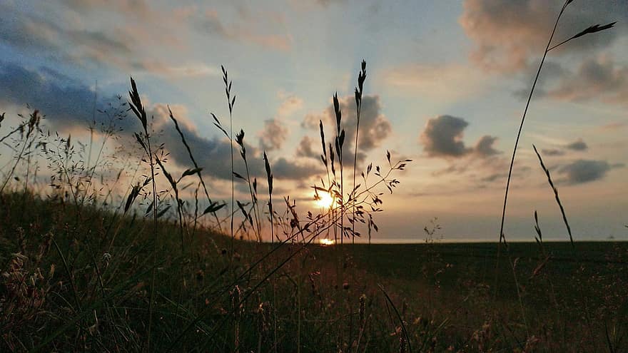 le coucher du soleil, Prairie, campagne, la nature, la mer du Nord, herbe