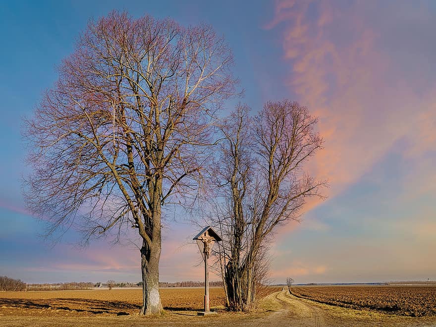 Trees, Dirt Road, Crucifix, Path, Field, Nature, Dusk, Bare Trees, Branches, tree, sunset