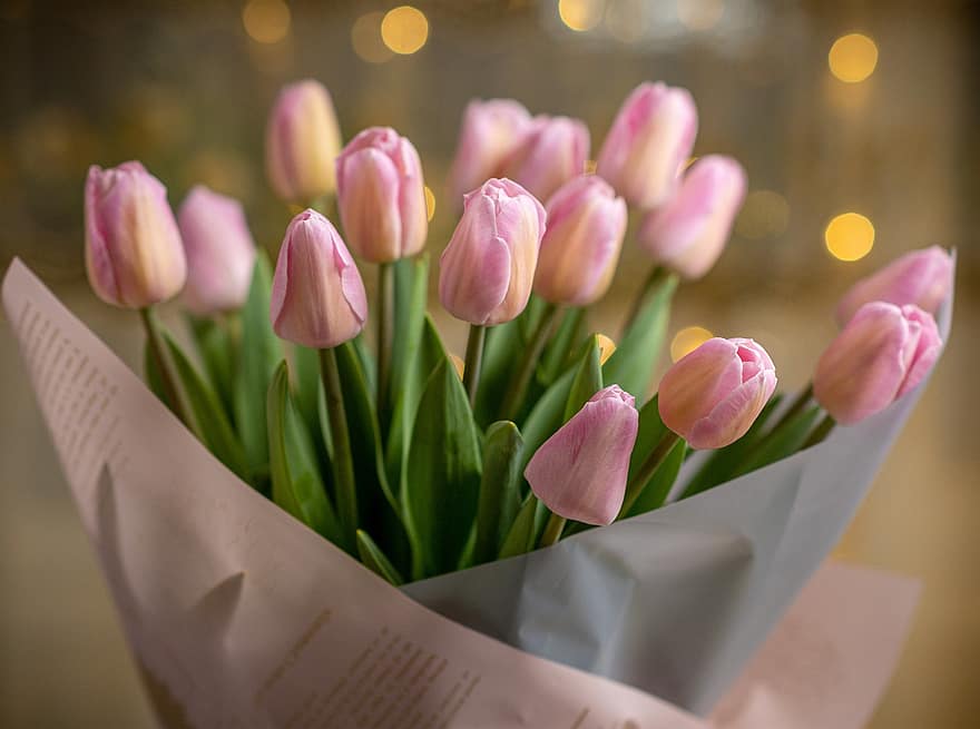 tulipas, flores, ramalhete, tulipas cor de rosa, flores cor de rosa, Primavera, presente, beleza, lindo, flor, Flor