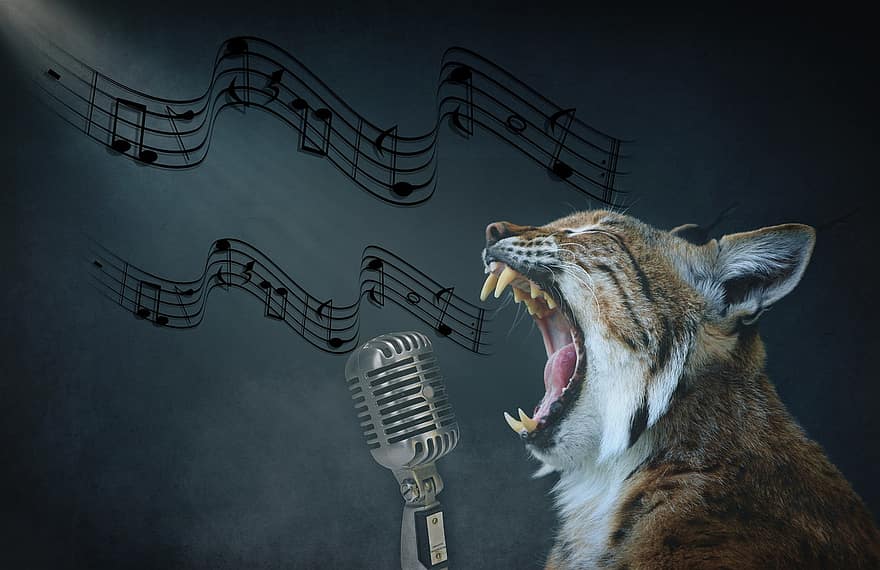 alkotó, hiúz, macska, énekel, mikrofon, zene, állat