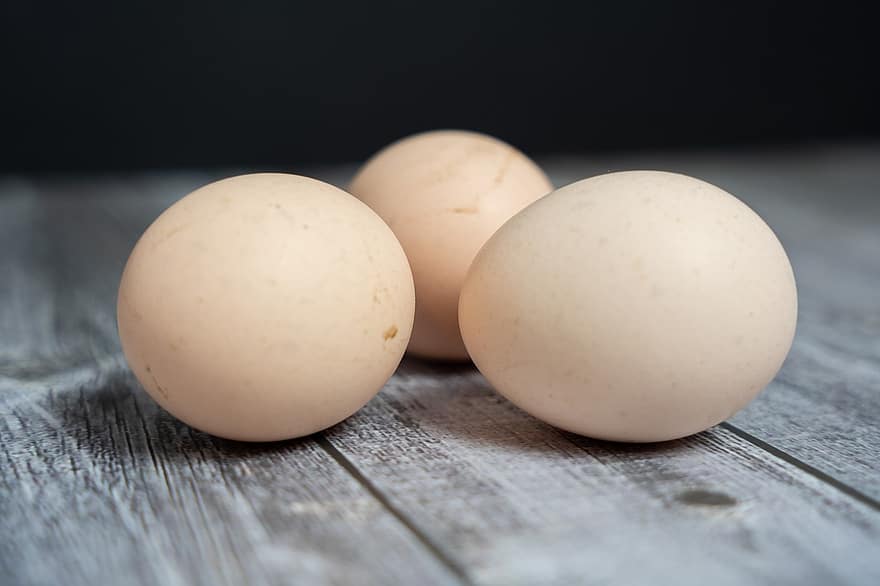telur, telur ayam, makanan, kisaran telur, telur organik, merapatkan, telur hewan, kesegaran, organik, kayu, tanah pertanian