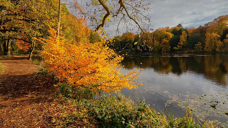 ežeras, ruduo, rudenį, rudens ežeras, Jorkšyras, rudens spalvos, kritimo spalva, lapai, geltona, žalias, medis
