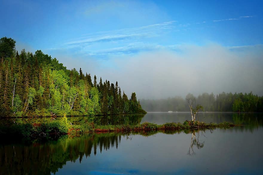 lac, pădure, ceaţă, aburi, reflecţie, apă, bancă, copaci, conifer, natură, mediu inconjurator