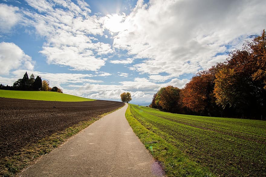 Road, Field, Countryside, Rural, Meadow, Path, Country Road, Landscape, Scenery