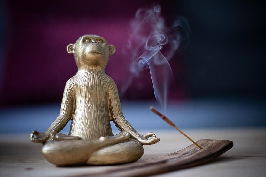 yoga, mono, incienso, meditación, decoración, oro, posición de loto, ritual, espiritualidad, fumar, figurilla
