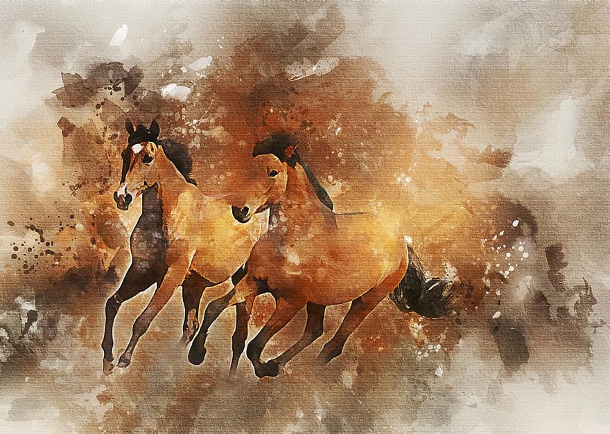 ngựa, đang chạy, thú vật, dom, Thiên nhiên, mạnh, người cưỡi ngựa, động vật có vú, ngoài trời, bầy đàn, phi nước đại