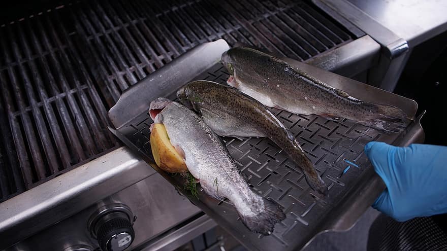 pesce, grigliate, griglia, Pesce alla griglia, Cestino in acciaio inossidabile, patate nel pesce, trota, pesce intero, cibo, salutare, biologico