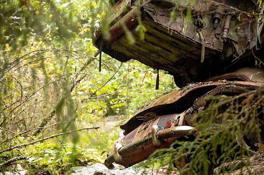 terk edilmiş araba, araba enkazı, orman, kırsal bölge