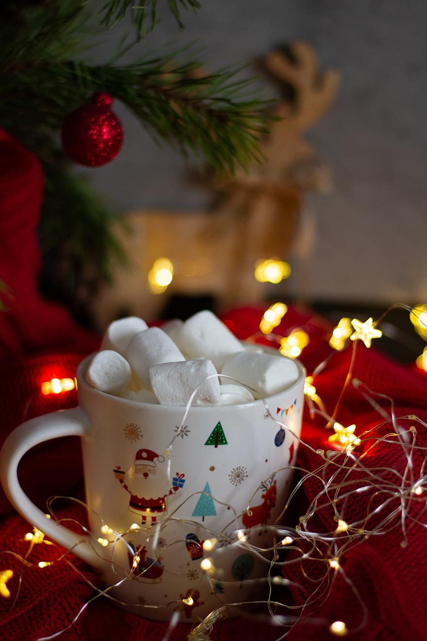 cái ca, đèn Giáng sinh, marshmallow, món ăn, uống, chăn màu đỏ, đồ uống, giáng sinh, Quả cầu trang trí cho cây thông noel, ngôi sao, đồ trang sức