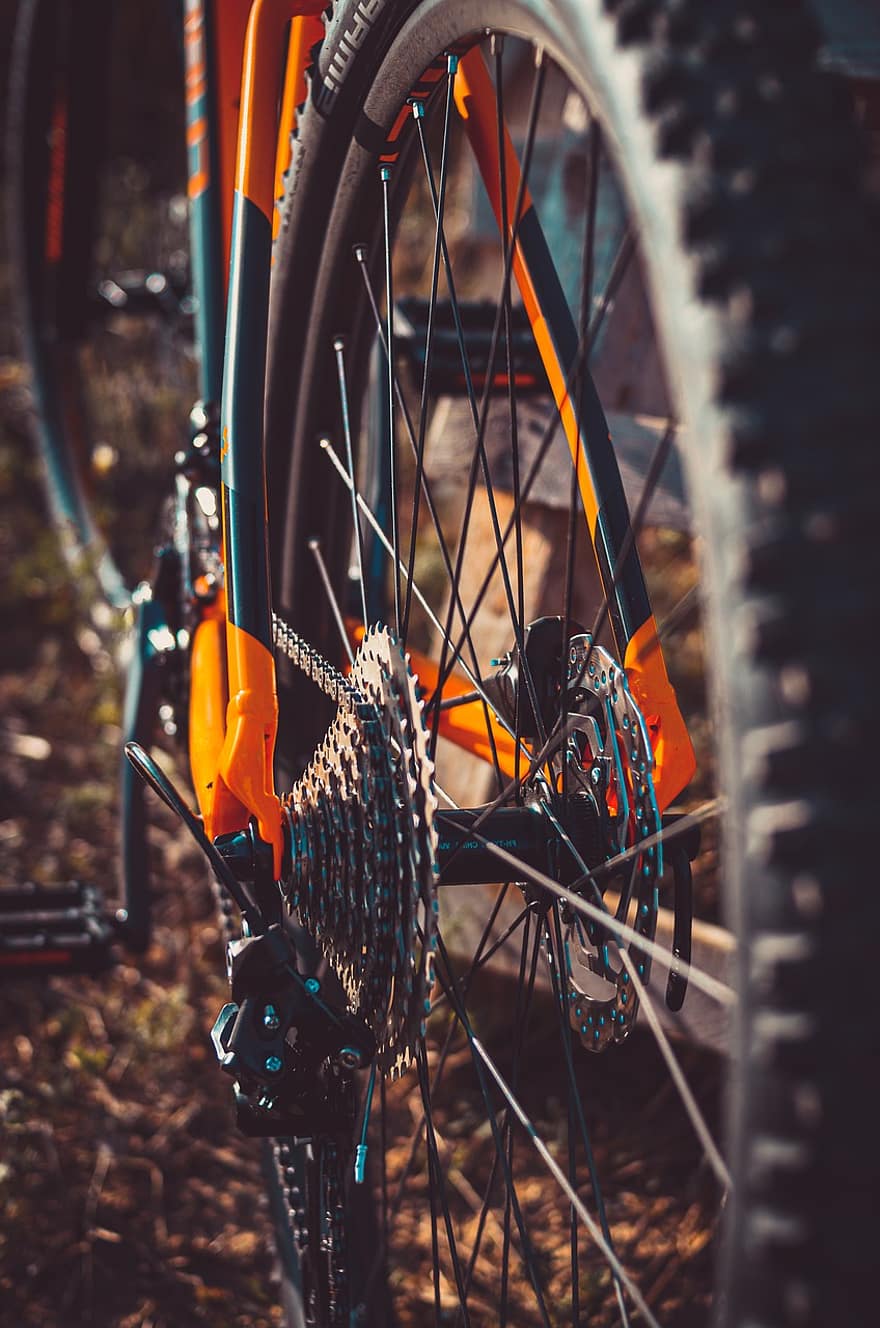 mountainbike, cykel, sporter, däck, främre, detalj, cykling, livsstil, aktivitet, stil