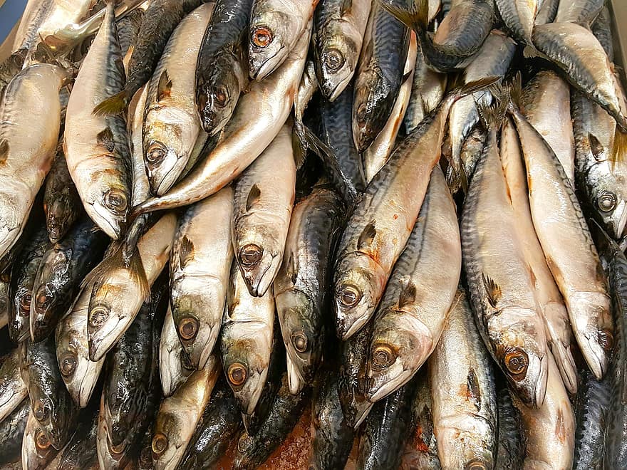 jídlo, Ryba, plody moře, trh